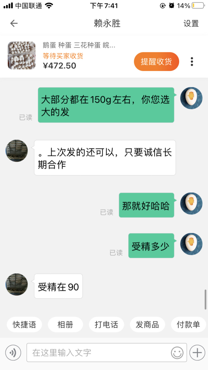 鹅蛋种蛋受精蛋高受精率可孵化大三花皖浦泰州