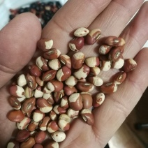 花豇豆！粉豇豆，所有商品不包邮货物需要自提