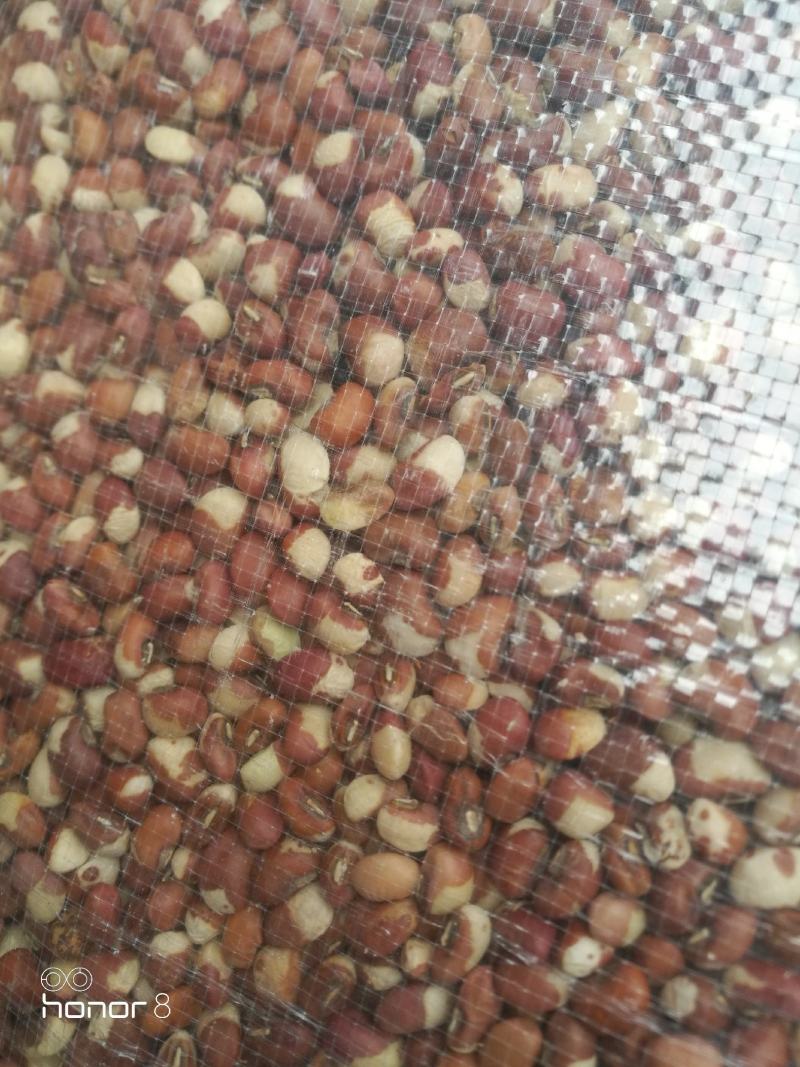 花豇豆！粉豇豆，所有商品不包邮货物需要自提