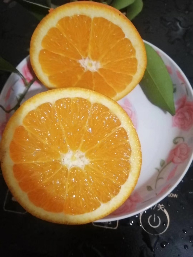 奉节脐橙自产自销接受代办