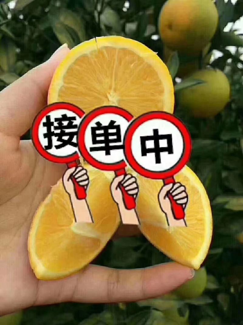 正宗永兴冰糖橙，现摘现发，好吃不上火