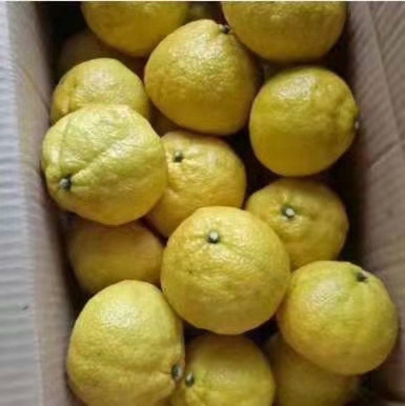 甜蜜蜜的黄金贡柚，湖南味道家乡的蜜橘香甜可口