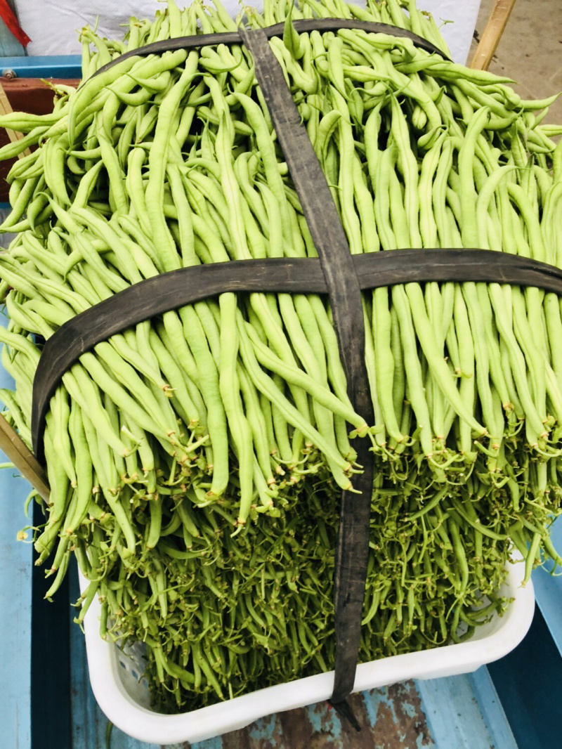 🔥优质豆王无筋豆价格爆跌‼️现摘现卖。