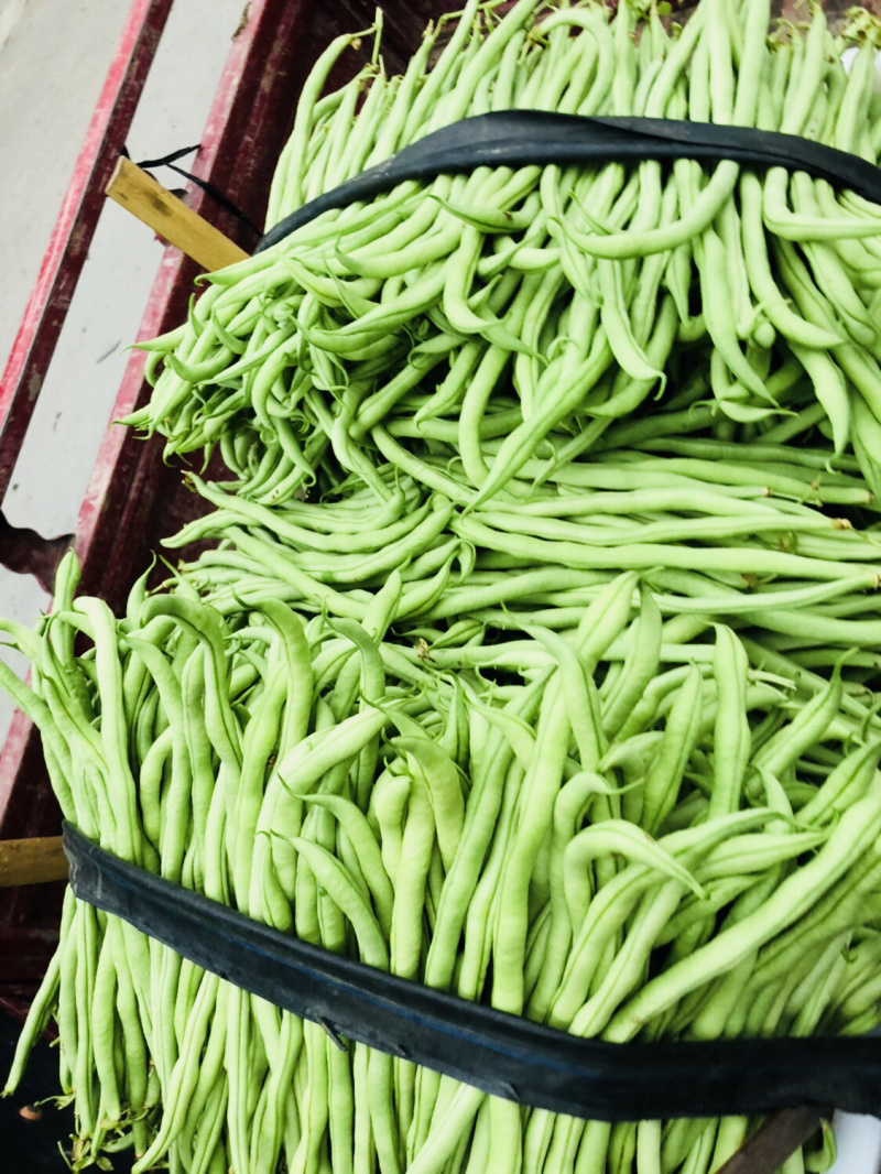 🔥优质豆王无筋豆价格爆跌‼️现摘现卖。