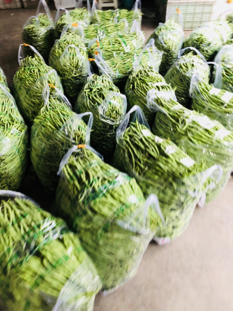 🔥优质豆王无筋豆价格爆跌‼️现摘现卖。