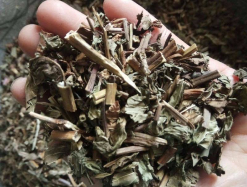 振兴药材批发供应薄荷产地山东产地直销