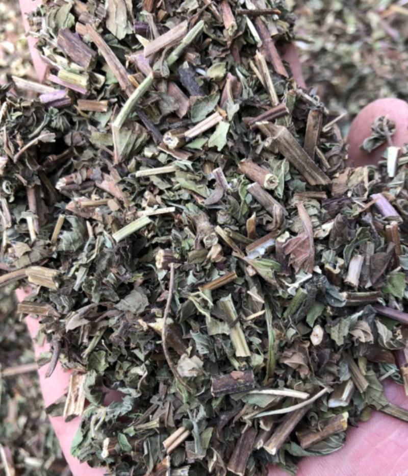 振兴药材批发供应薄荷产地山东产地直销