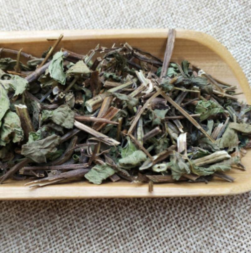 振兴药材批发供应薄荷产地山东产地直销