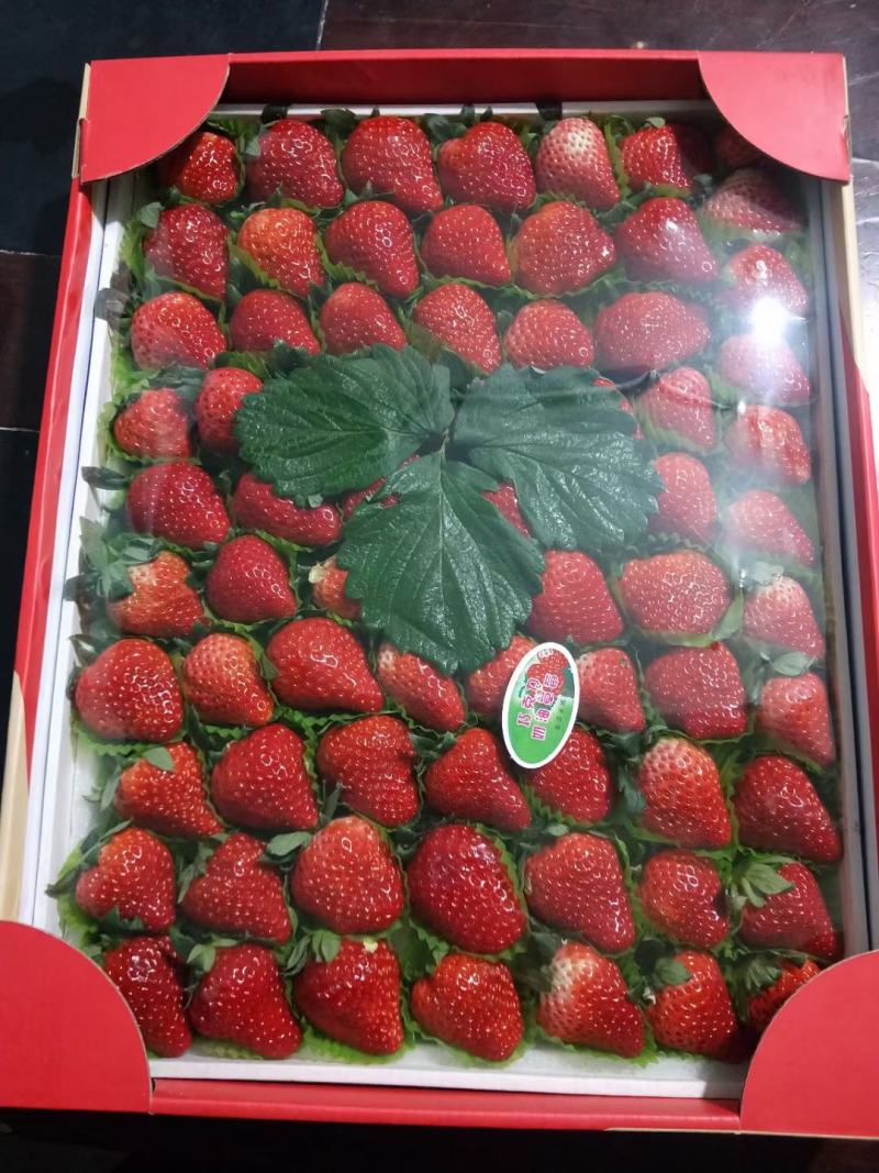 长丰草莓，红颜草莓现在开始上市了，品种以红颜为主，
