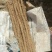 武001号沙土的小白嘴白山药基地供应！{陌武专属}