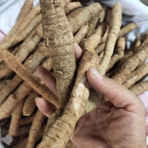 鲜货牛大力薯根生货刚挖的煲汤鲜品包邮，可全国发货