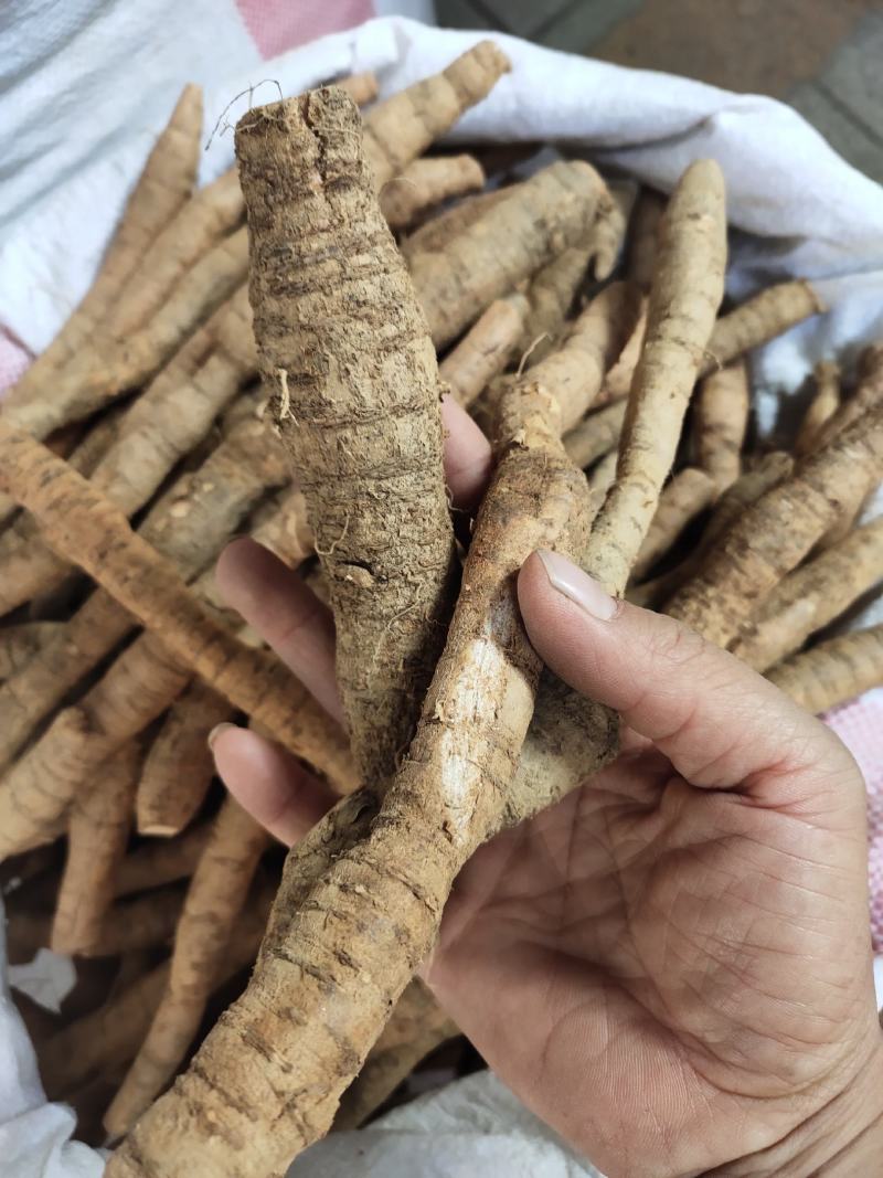 鲜货牛大力薯根生货刚挖的煲汤鲜品包邮，可全国发货