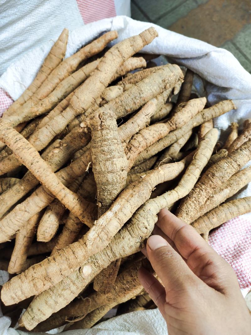 鲜货牛大力薯根生货刚挖的煲汤鲜品包邮，可全国发货