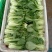 本地小油菜，质量好量大，还有各种蔬菜，欢迎采购
