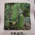 中科翡翠旱黄瓜种子，强雌大刺溜，节节有瓜，清香爽口