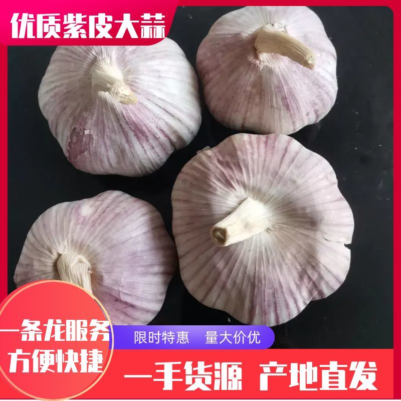 山东金乡大蒜，超市电商专供专注大蒜业务专业储存，代发市场