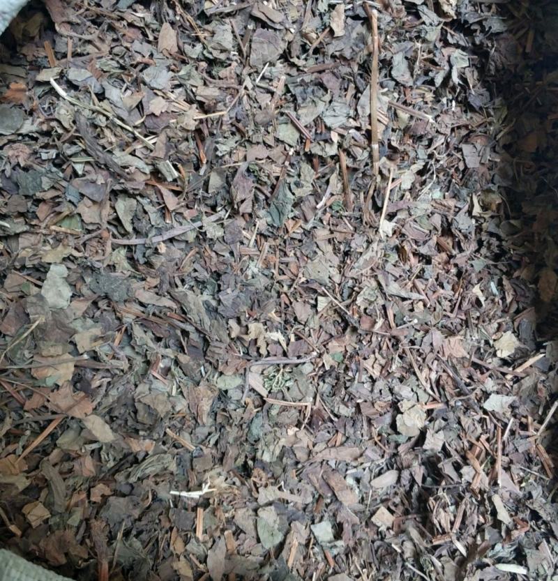 振兴药材批发供应鱼腥草规格齐全产地直供一手货源全国发货