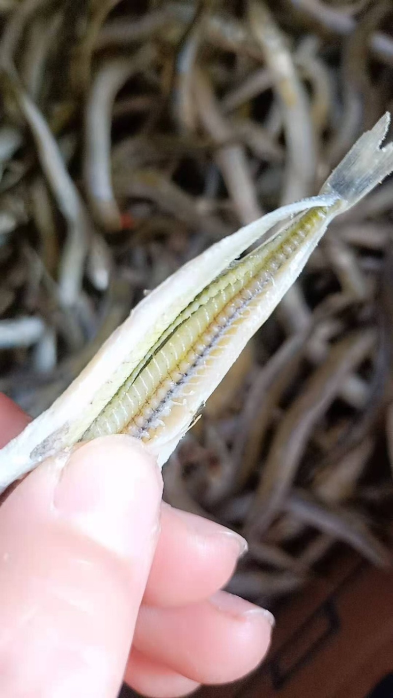 银针🐟只有主刺一根随吃即可一件代发不包邮