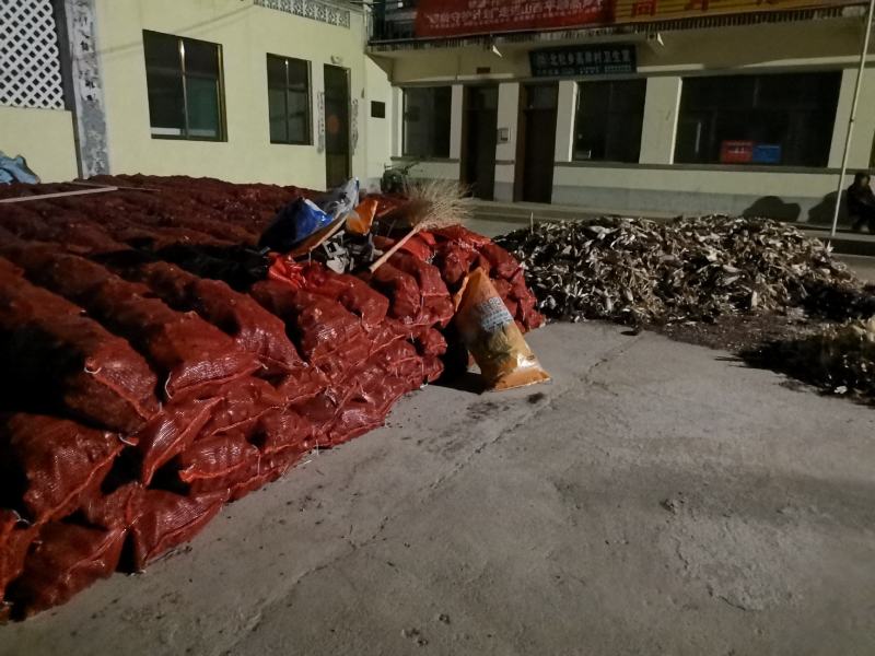 黑糯老玉米欢迎大家选购