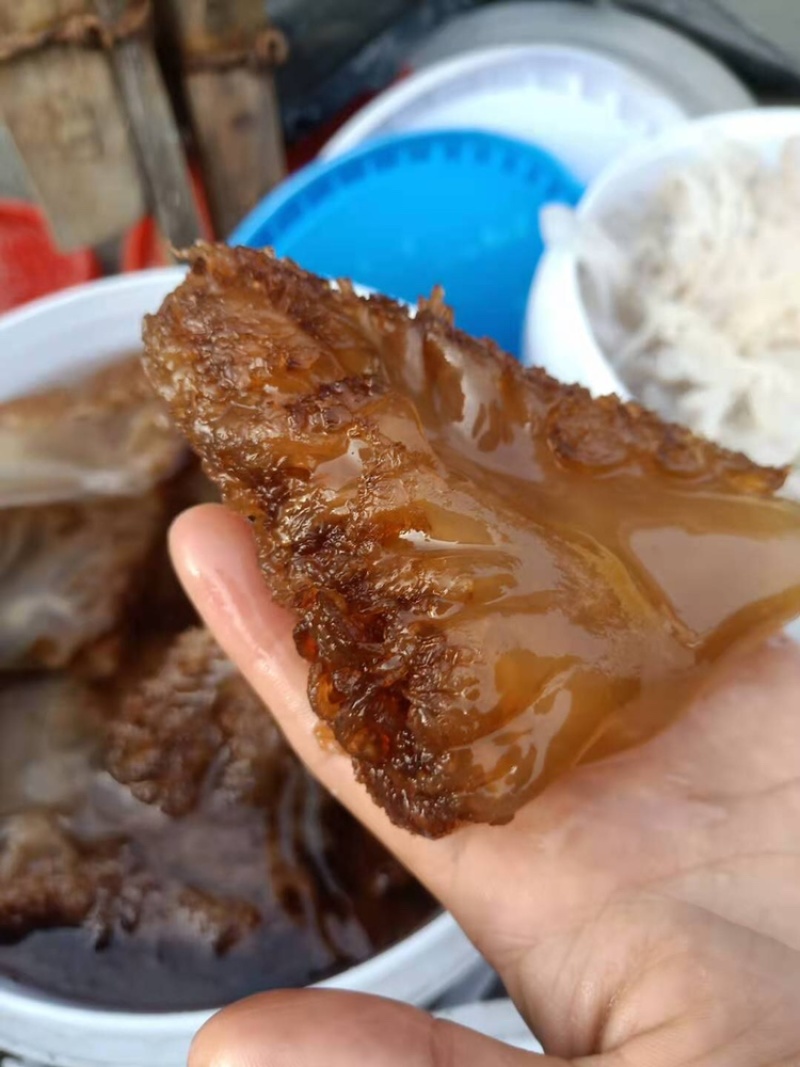 三角海蜇长年有货产地直销一手货源一件代发
