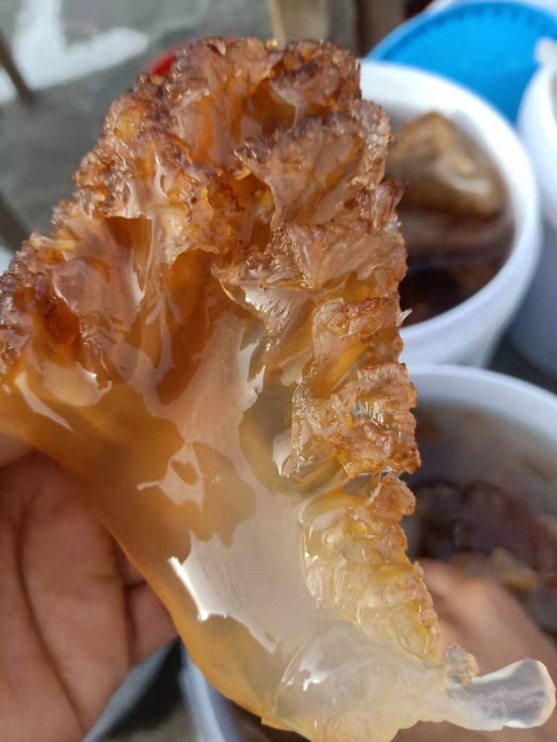 三角海蜇长年有货产地直销一手货源一件代发