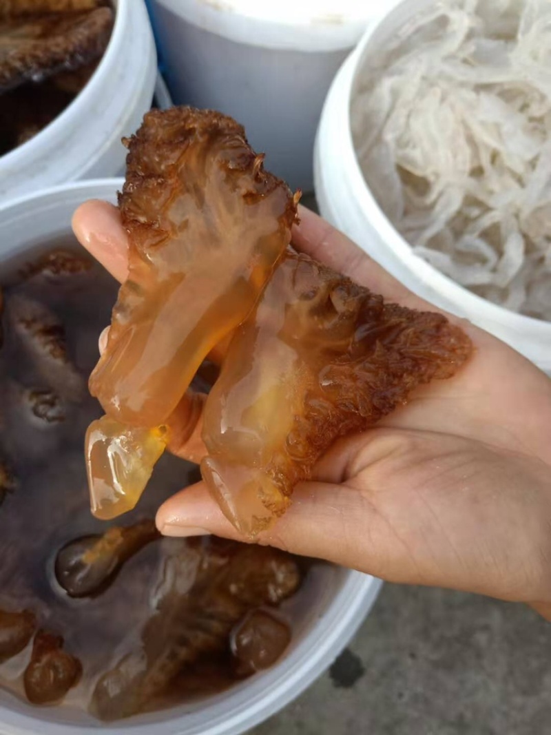 三角海蜇长年有货产地直销一手货源一件代发