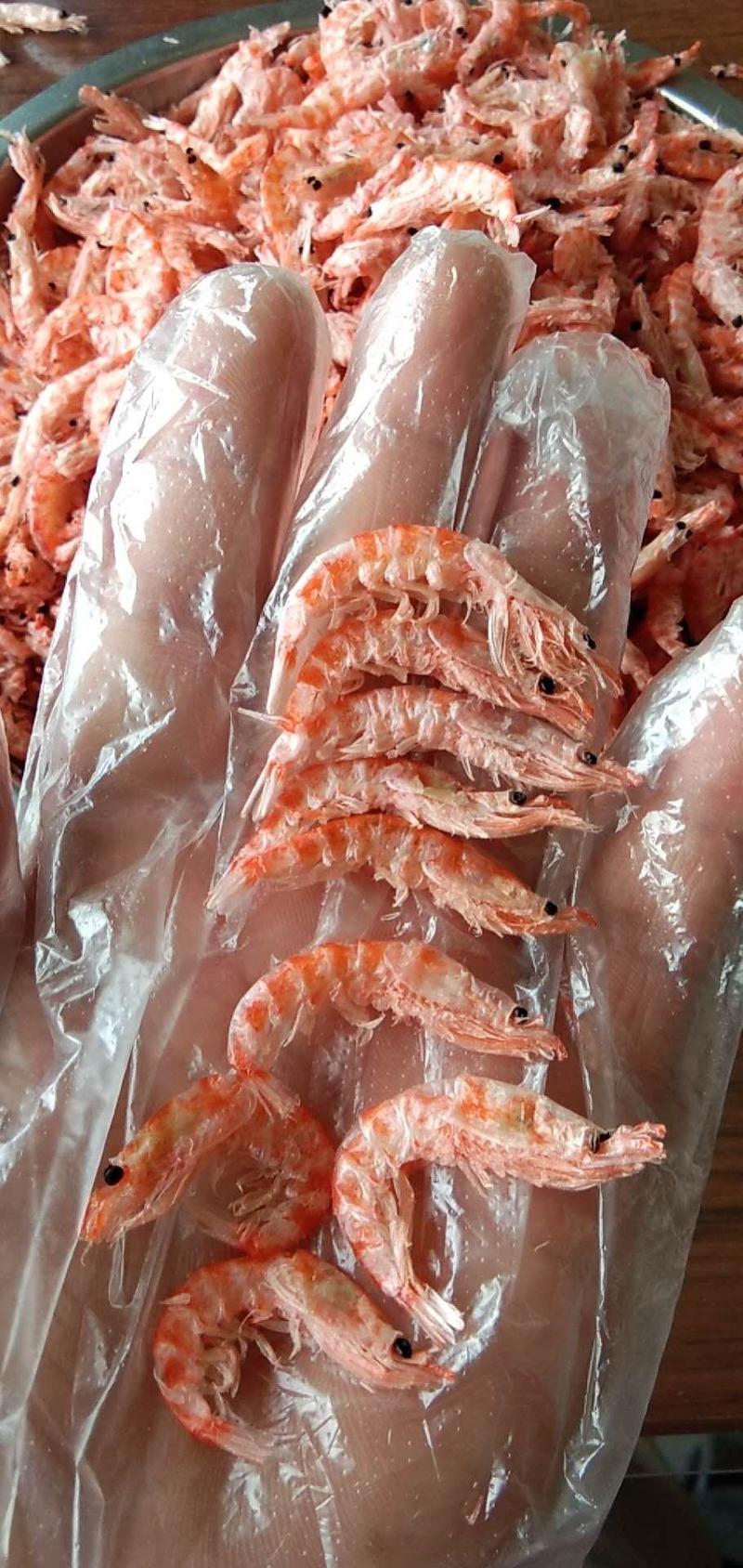 【有好货】精品无盐磷虾皮个大肉厚产地直销大量现货一手货源