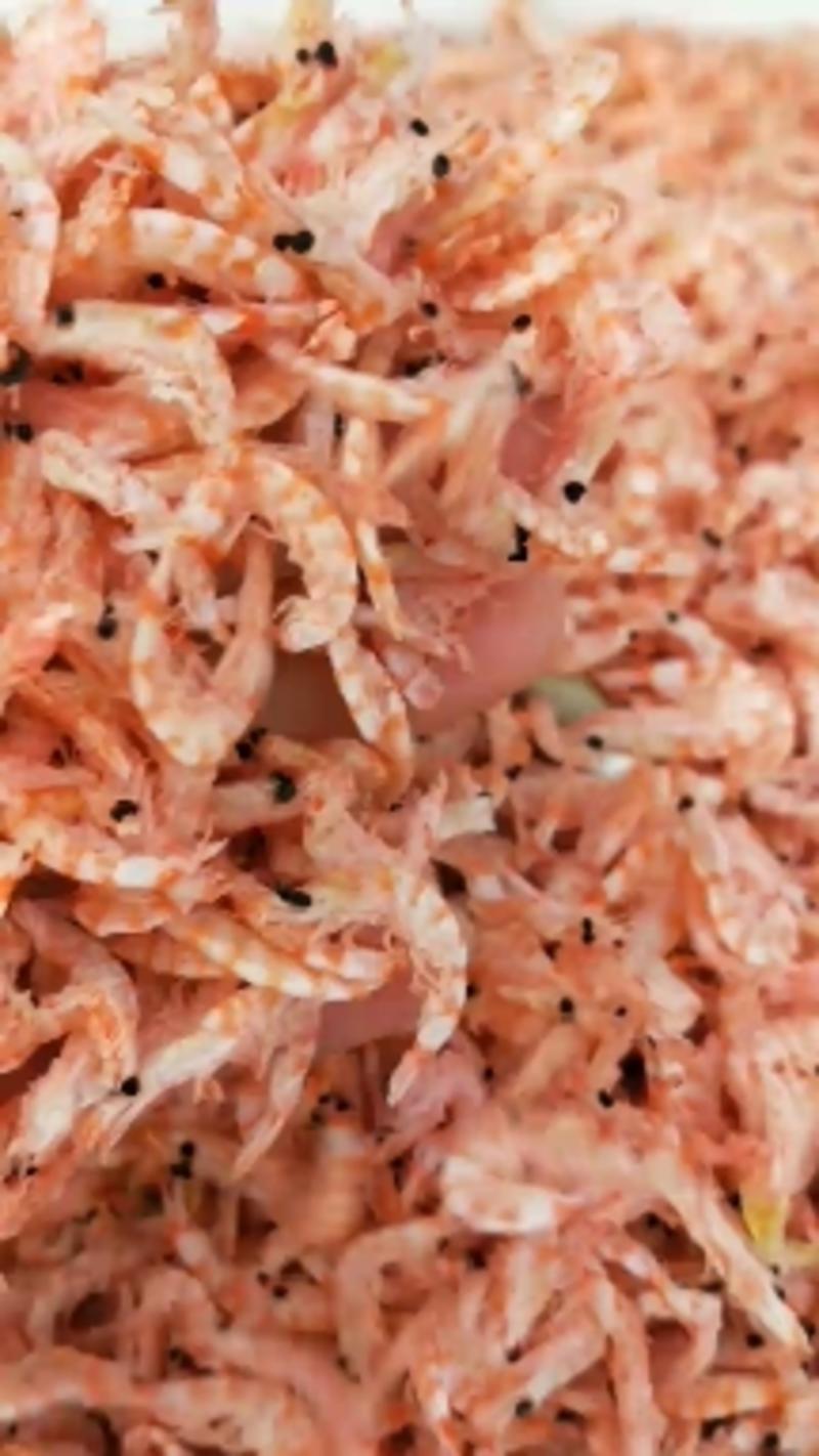 【有好货】精品无盐磷虾皮个大肉厚产地直销大量现货一手货源