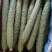 现在有大量黄瓜上市了。有需要的朋友可以联系我