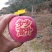 陕西高山纸袋红富士苹果大量上市欢迎各大团队前来产地采购！