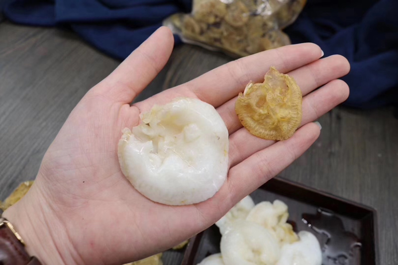 赤鱼胶花胶赤胶泰国小米胶红鱼胶炖奶冻煲汤料补充胶原蛋白