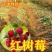 【促销】双季树莓莓红树莓根系发达包成活技术指导售后有保障