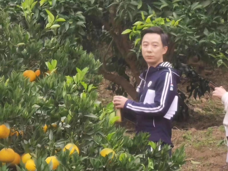 自家果园，刚刚上架好吃的甜心橙