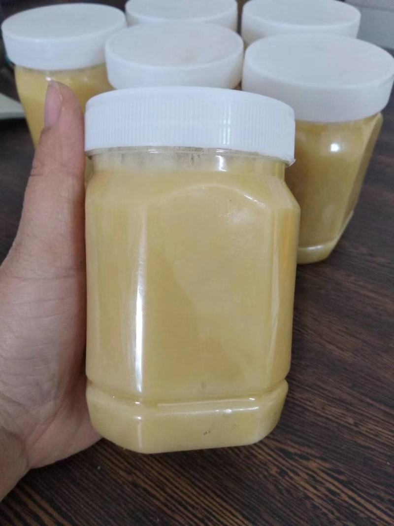 【纯正好货】大山中天然土蜂蜜500g批发电商微商一件代发