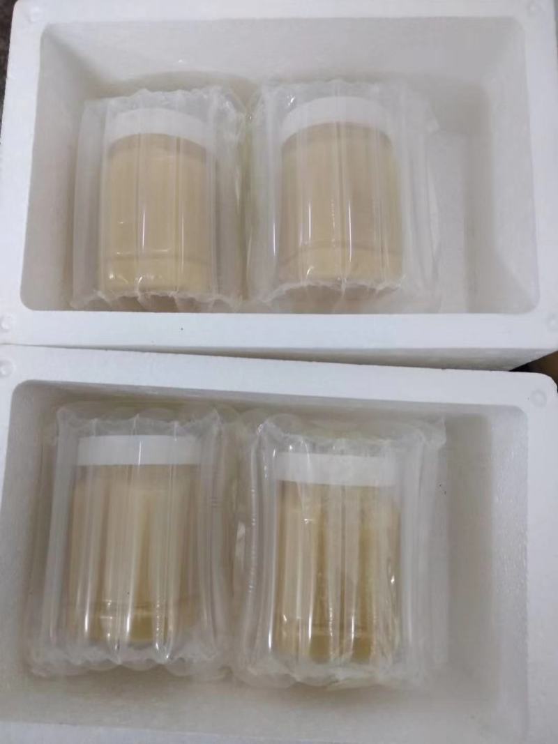 【纯正好货】大山中天然土蜂蜜500g批发电商微商一件代发