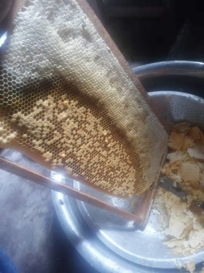 广东高州蜂蜜，农村自养