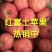 冷库优质红富士苹果货源充足全国发货