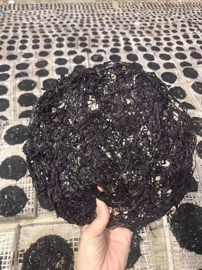 汕头南澳头水紫菜紫菜干货紫菜蛋花汤霞浦特产海苔散装一斤装