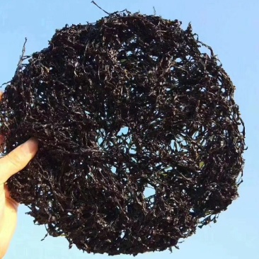 汕头南澳头水紫菜紫菜干货紫菜蛋花汤霞浦特产海苔散装一斤装