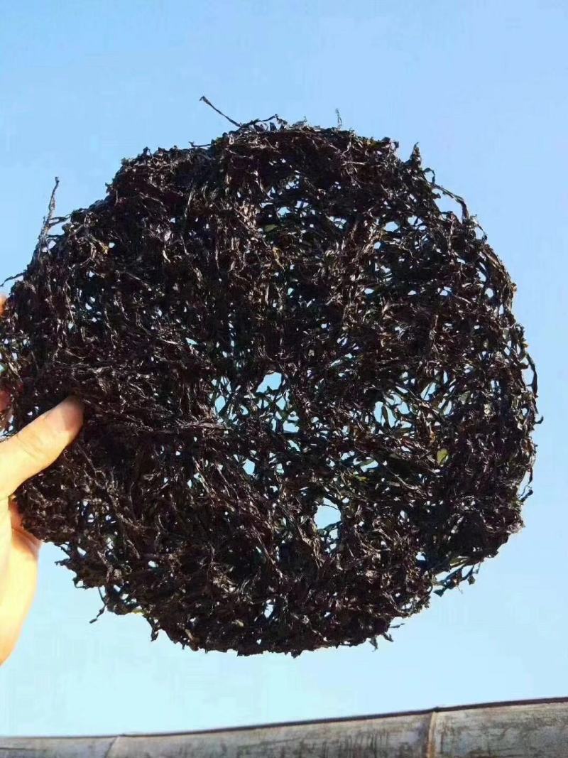 汕头南澳头水紫菜紫菜干货紫菜蛋花汤霞浦特产海苔散装一斤装