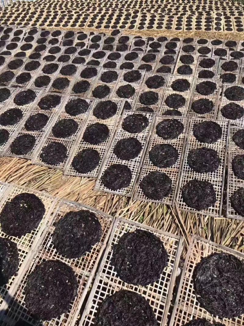 汕头南澳头水紫菜紫菜干货紫菜蛋花汤霞浦特产海苔散装一斤装