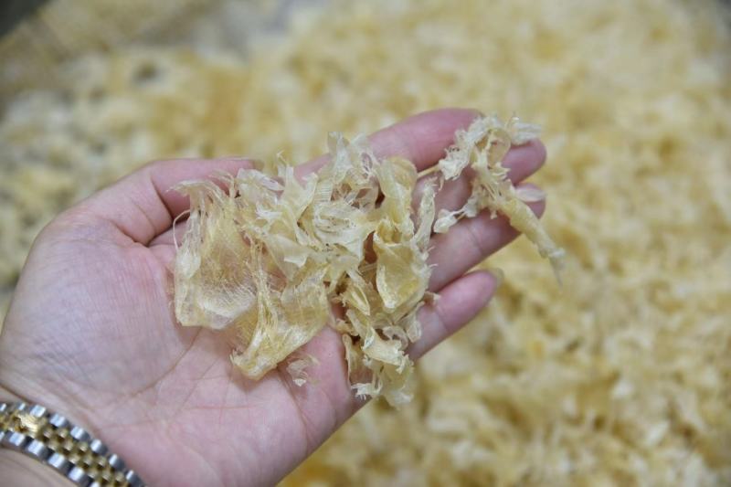 花胶鱼胶本港鸡蛋胶碎深海花胶干货正品新鲜供应