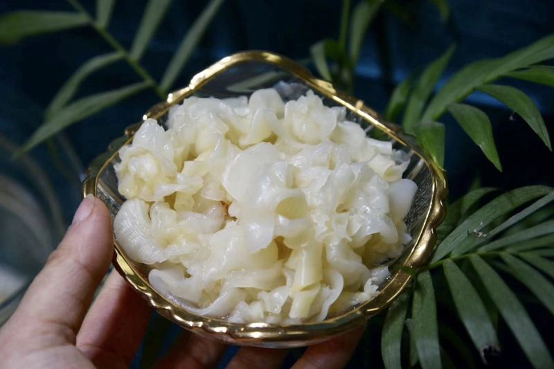 花胶鱼胶本港鸡蛋胶碎深海花胶干货正品新鲜供应