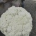 温州90天105天精品散花.松花.有现已大量上市