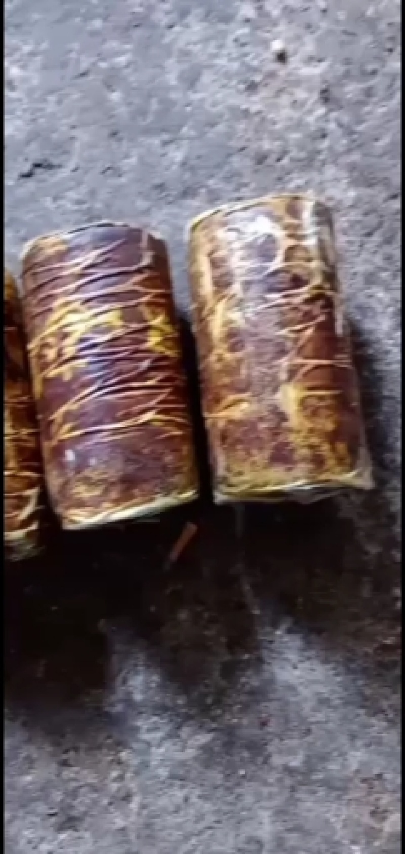 桑黄菌种桑黄菌包西峡县科达菌种厂桑黄菌种