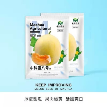 中科蜜八号厚皮甜瓜种子，橘黄肉，酥甜爽口，含糖18度