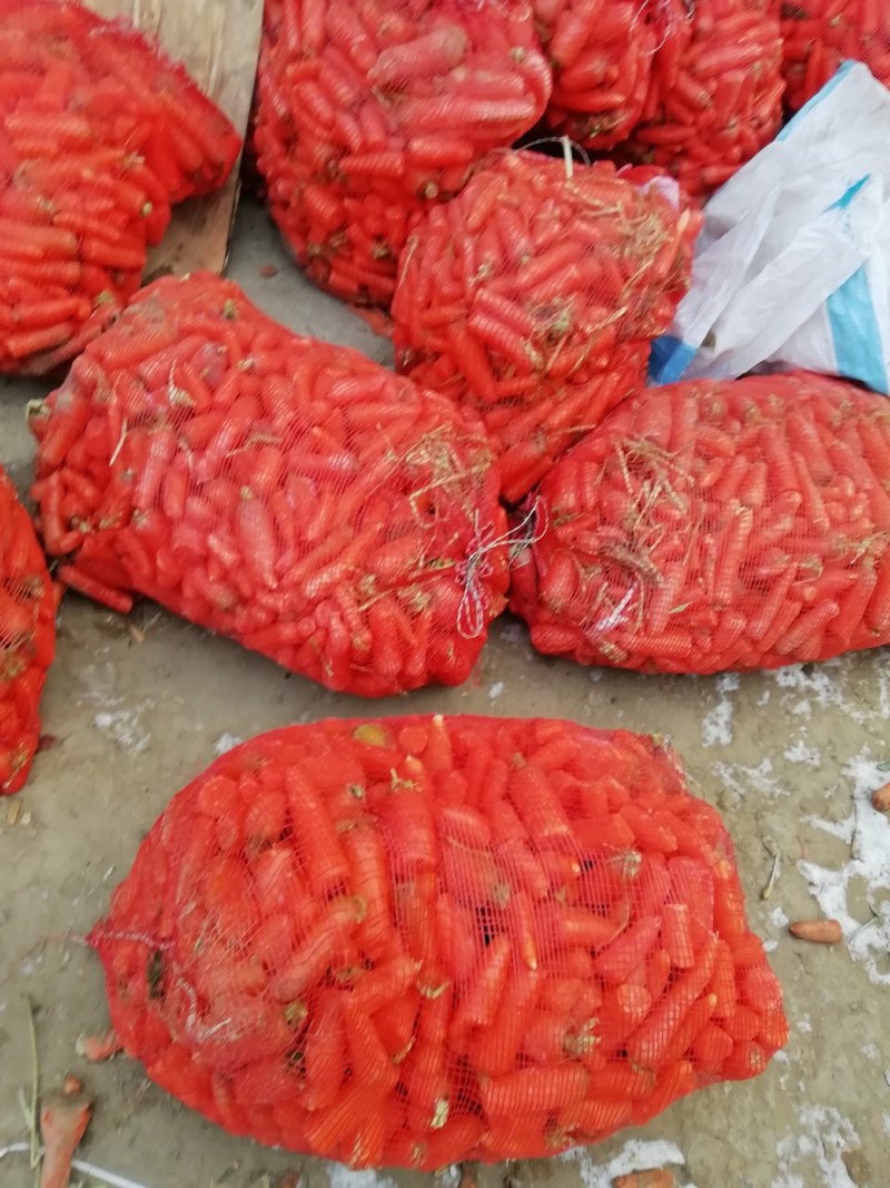 红罗卜，水洗罗卜渣，削青头。