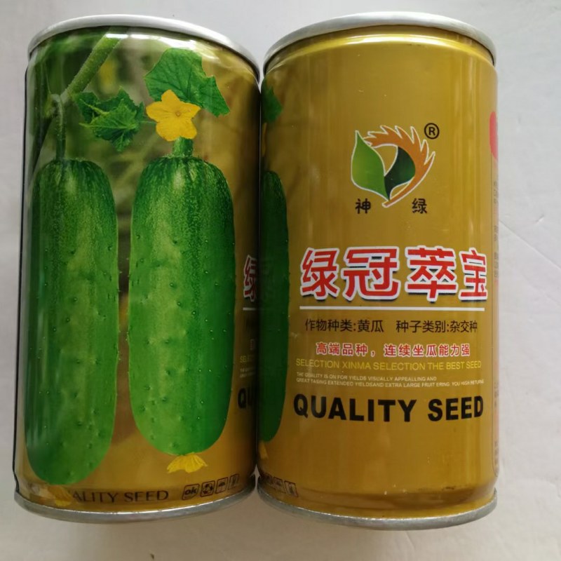油亮黄瓜种子一代杂交品种早熟性好，生长强势品品种子