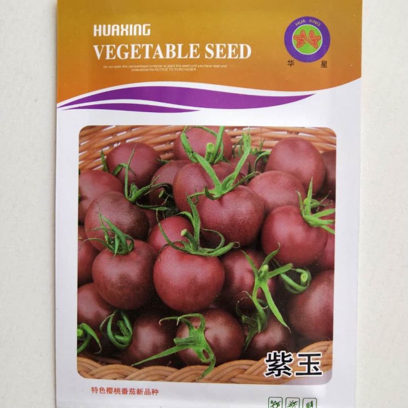 天禧樱桃型小番茄种子无线生长品种一代杂交品种