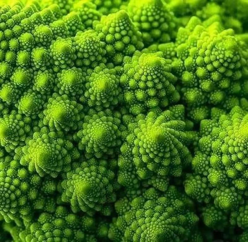 宝塔花椰菜塔花花菜绿花菜花椰菜法国花椰菜